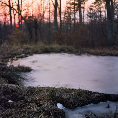 Jan 30: Sheltowee Trace
